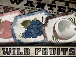 Wild Fruits screenshot